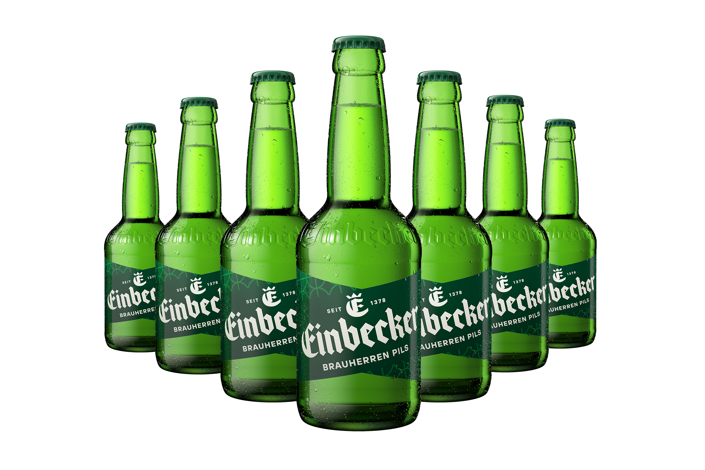 Brauherren Pils (20 x 0,33l) 