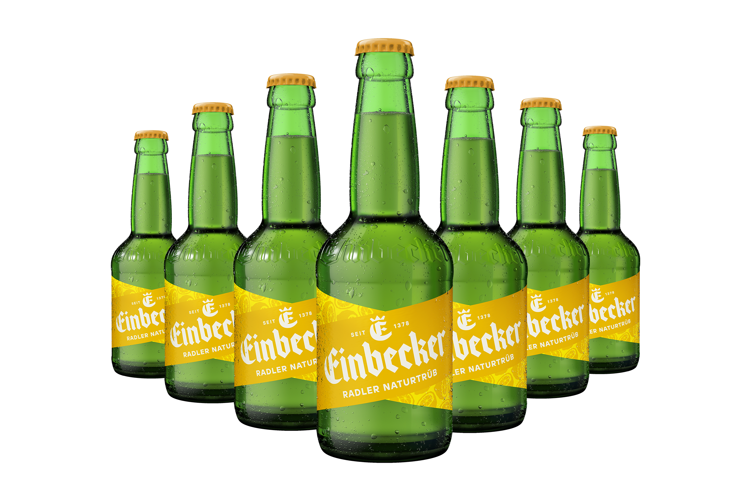 Radler Naturtrüb (20 x 0,33 l)