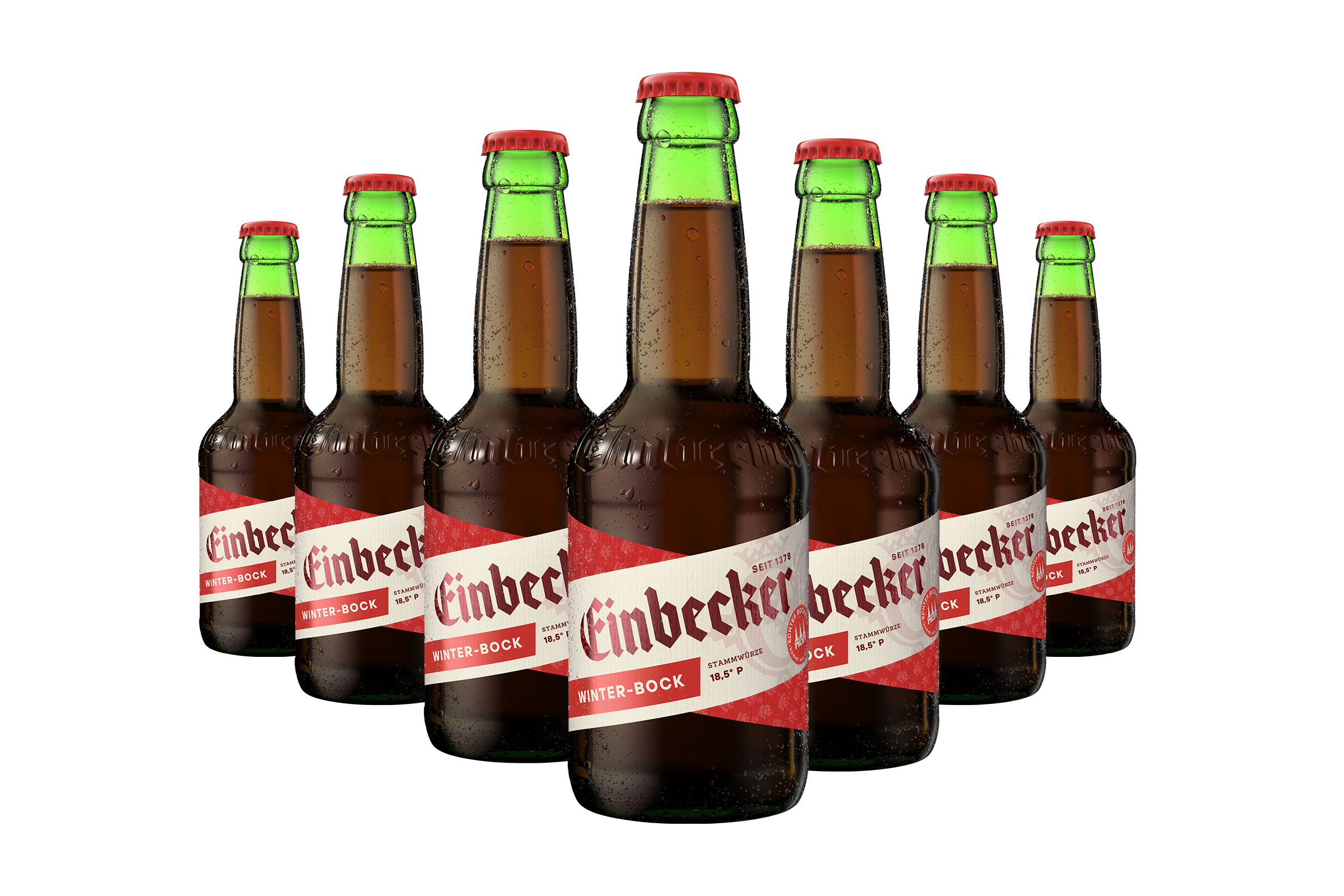 Winter-Bock (20 x 0,33 l)